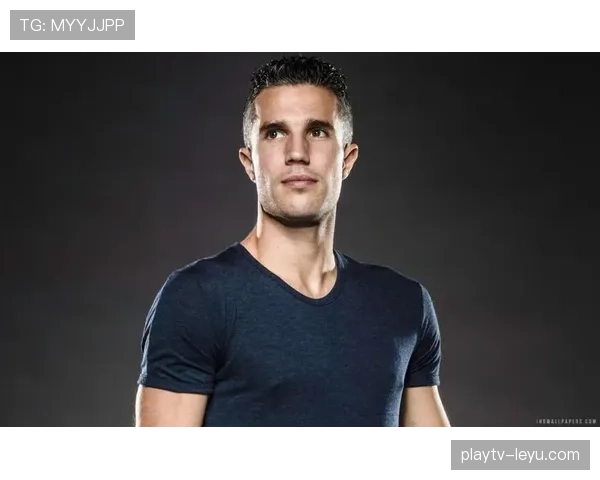 从范佩西到职场转型：体育精神如何突破职业瓶颈？——一位数据工程师的启示